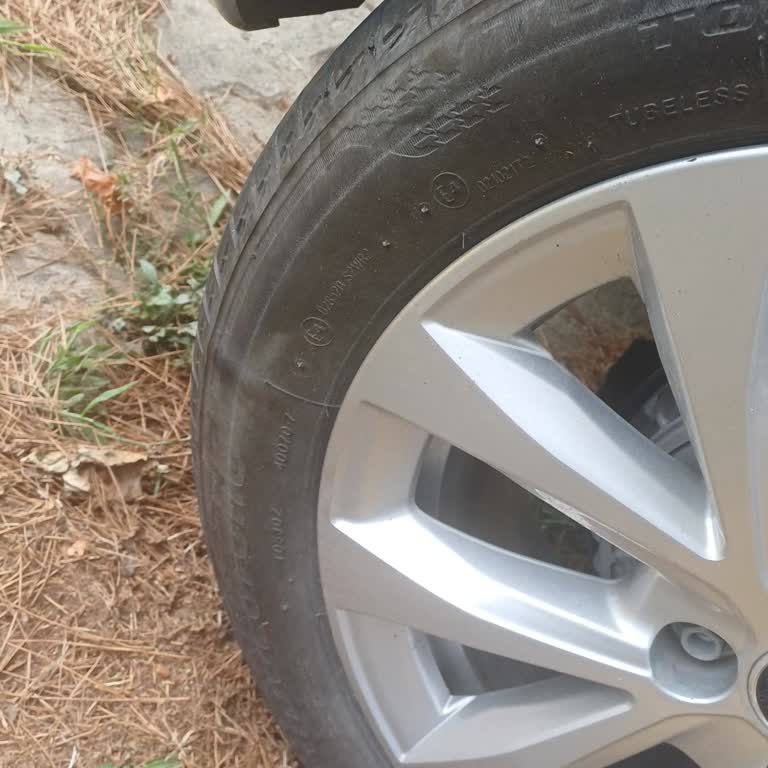 Bridgestone Turanza Tire on My Renault Clio Swelled Internally and Dealer Offered No Help