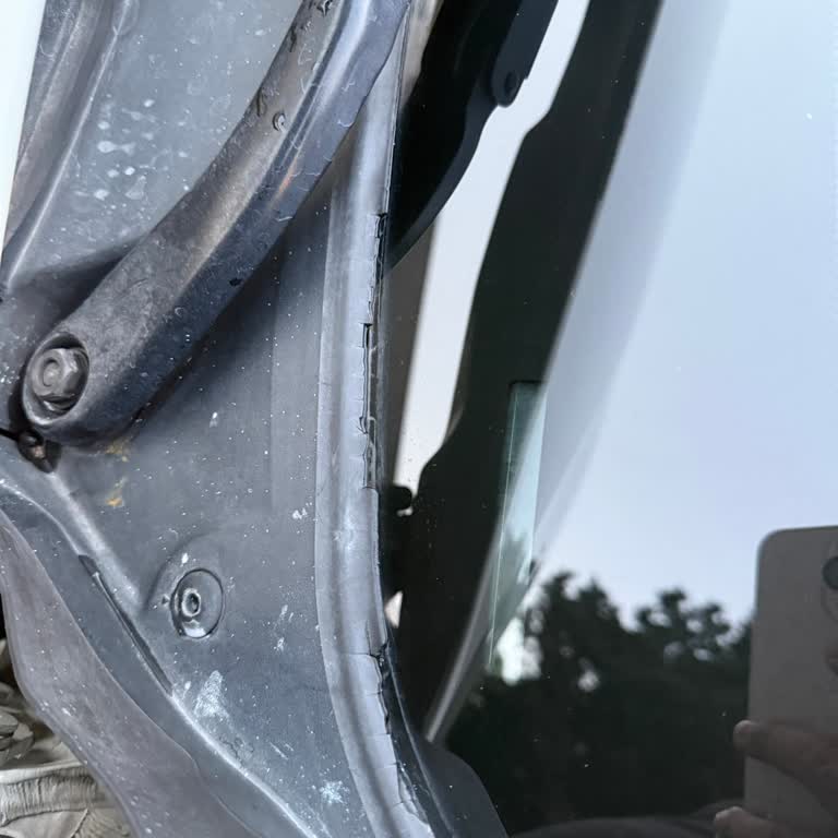 BMW 316i Ön Cam Fitili Yıpranması Ve Ücretsiz Değişim Talebi