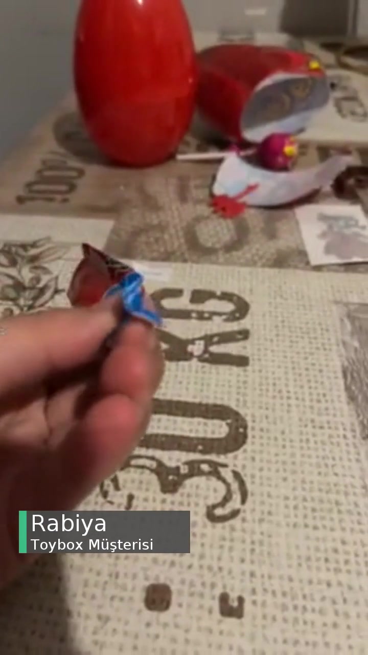 Toybox Yumurtasının İçindeki Şeker Paketi Boş! videonun kapak resmi