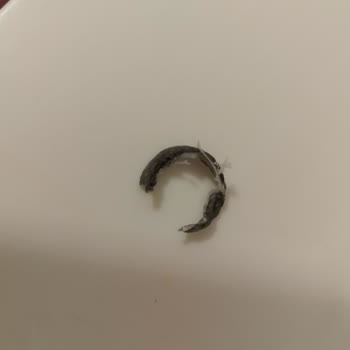 Philips Blenderın Dişli Kısmı İlk Kullanımda Eridi Değişim Talebim Var