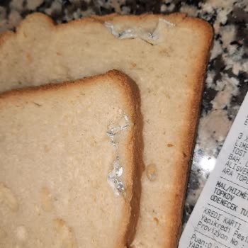 Tost Ekmeğinden Çıkan Yabancı Madde Sağlığımı Tehdit Etti