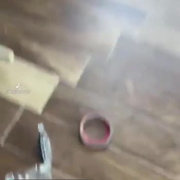Dyson Süpürge Toz Haznesi Kırmızı Lastik Sorunu