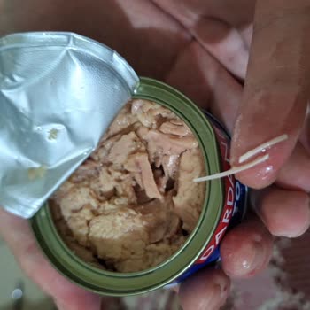 Ton Balığında Kılçık Şoku: Açıklama Ve Önlem Bekliyorum