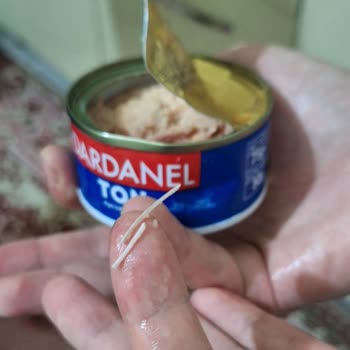 Ton Balığında Kılçık Şoku: Açıklama Ve Önlem Bekliyorum