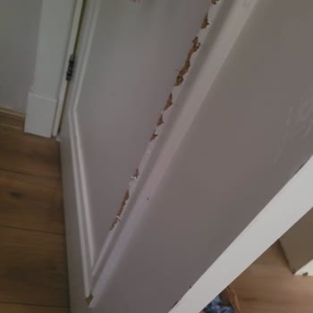 Kiracı Kaynaklı Hasar Sonrası Sigorta Teminatı Yetersizliği Ve Kira Geliri Kaybı