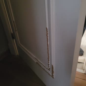 Kiracı Kaynaklı Hasar Sonrası Sigorta Teminatı Yetersizliği Ve Kira Geliri Kaybı