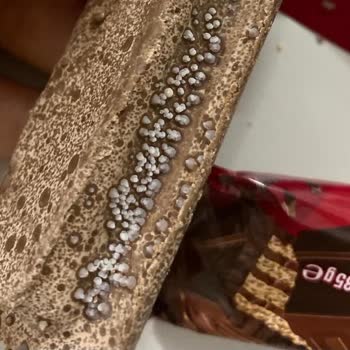 Ülker Dido Sütlü Çikolata İçinden Kurt Çıkması Ve Sağlık Tehlikesi