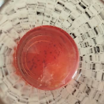 Sarıyer Limonatada Yabancı Madde ve İlgisizlik