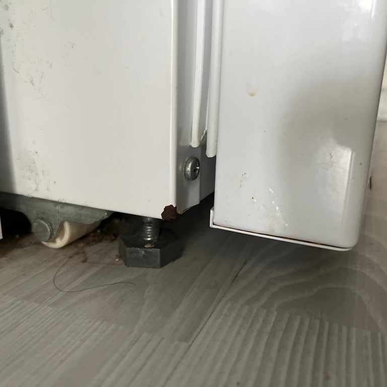 Yeni Alınan Vestel Buzdolabında Fabrika Çıkışlı Defolar Ve Paslanma Sorunu