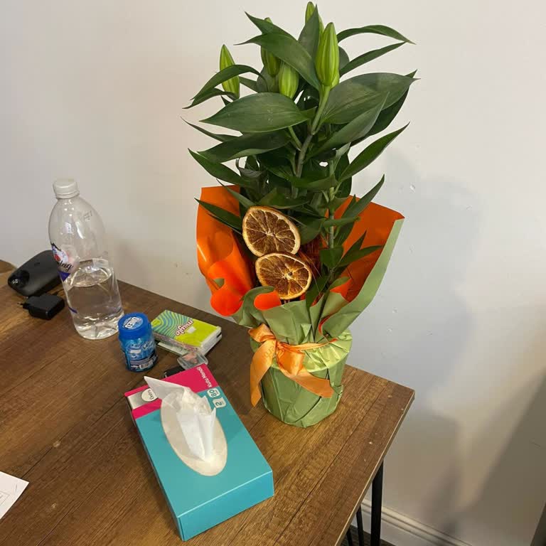 Siparişimde Çiçek Yok, Eksik Ürün Gönderildi Mağduriyetimin Giderilmesini İstiyorum