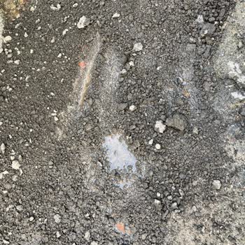 Cevizli Mahallesi'nde Aylardır Kapatılmayan Çukur Ve Yol Güvenliği Sorunu