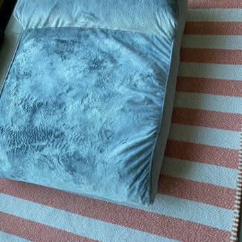 İndirimli Alınan Kedi Köpek Yatağında Dikiş Sorunu Ve Değişim Talebi