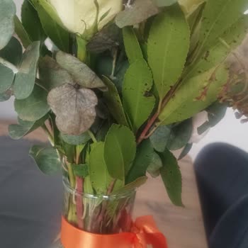 Hasarlı Ve Çürük Çiçek Teslimatı Sonrası Çözüm Sunulmadı