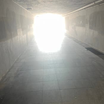 Botanik Park Alt Geçidindeki Asansörlerin Uzun Süredir Çalışmaması Ve Engelli Erişimi Sorunu