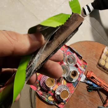 Küflü Çikolata Satışı Sağlığımı Ve Güvenimi Zedeledi