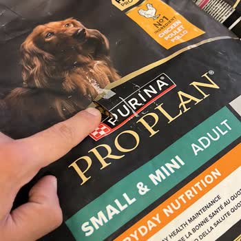 Yırtık Gelen Köpek Maması Paketleri İçin Değişim Ve İade Talebim Reddedildi