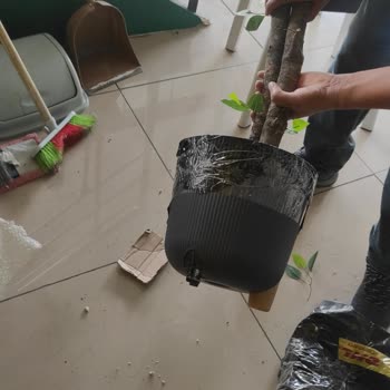 Kargo Şirketi Nedeniyle Açılış İçin Sipariş Edilen Çiçek Zarar Gördü Ve Geç Kaldı