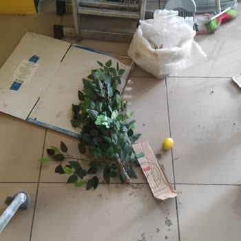 Kargo Şirketi Nedeniyle Açılış İçin Sipariş Edilen Çiçek Zarar Gördü Ve Geç Kaldı