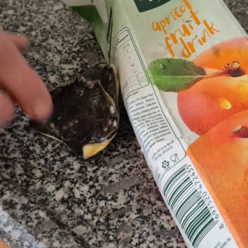 Meyve Suyunun İçinden Çıkan Yabancı Madde Şoku