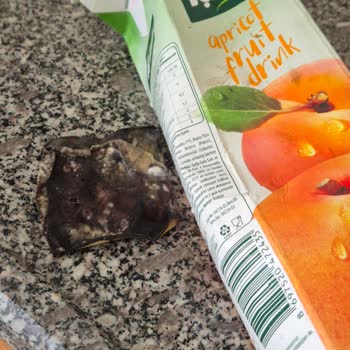 Meyve Suyunun İçinden Çıkan Yabancı Madde Şoku