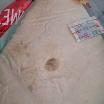 A101den Alınan Üçgen Yufkada Küf Çıktı Sağlığım Riske Girdi