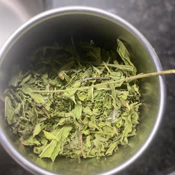 Kıvırcık Nane Çayında Kuş Tüyü Ve Plastik Çıktı, İade Süreci Sonuçlanmıyor