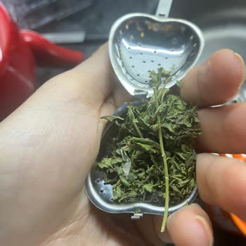 Kıvırcık Nane Çayında Kuş Tüyü Ve Plastik Çıktı, İade Süreci Sonuçlanmıyor