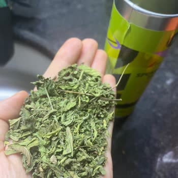 Kıvırcık Nane Çayında Kuş Tüyü Ve Plastik Çıktı, İade Süreci Sonuçlanmıyor