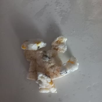 Eti Gong Mısır Patlağında Siyahlık Ve Hijyen Endişesi