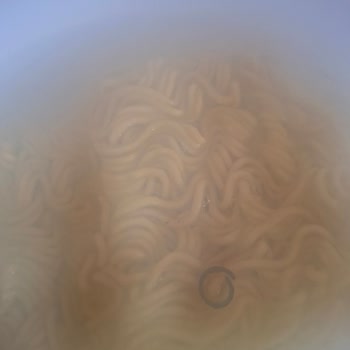 Hazırladığım Hazır Yemekte Paslı Metal Parçası Buldum Sağlığım Tehlikedeydi