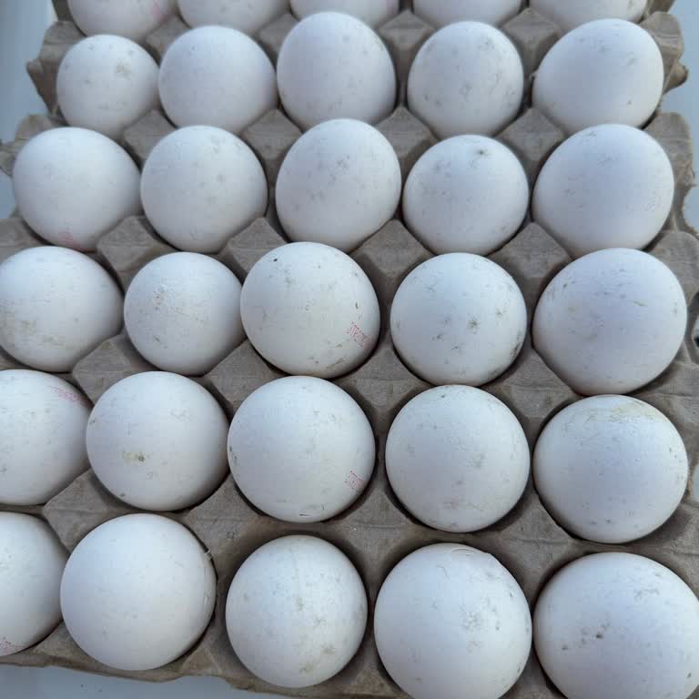 Bozuk Yumurta Ve Mağaza Çalışanlarının Olumsuz Tavrı Mağduriyet Yarattı