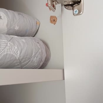 Teslimat Gecikmesi Ve İlgisiz Müşteri Hizmetleri Mağduriyeti