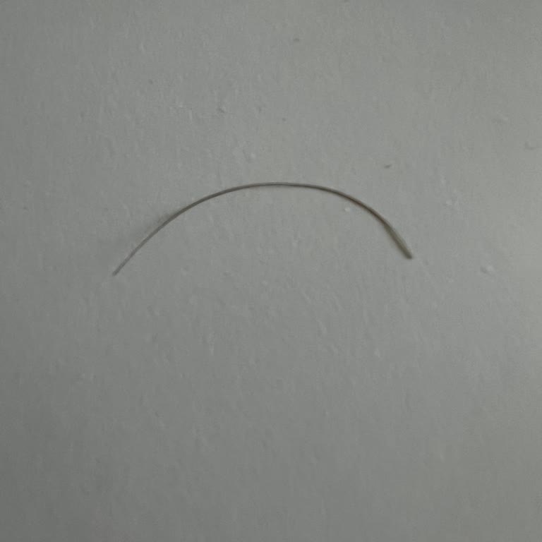 Harras Reçelinden Çıkan Yabancı Cisim Ve Tekrarlayan Hijyen Sorunları Endişelendiriyor