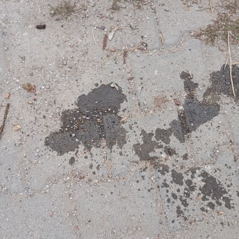 Kuba Motor 10 Günlük Motorda Yağ Akıtma Sorunu