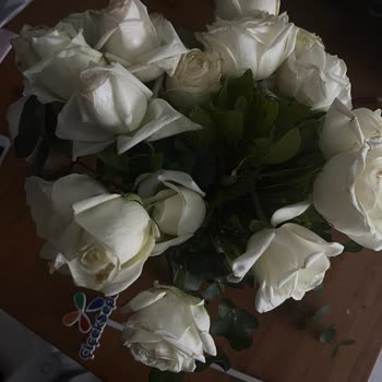 Kırık Vazo Ve Solmuş Çiçeklerle Hayal Kırıklığı: Müşteri Hizmetlerine Ulaşılamıyor