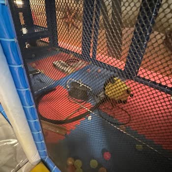 Playland İstMarina Çocuk Oyun Alanında Hijyen Ve Güvenlik Sorunları