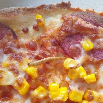 Pizzamda Kurt Çıktı: Hijyen Ve Sağlık Endişesi