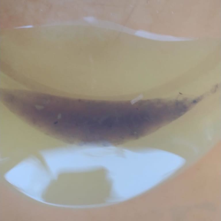 Lukoil İstasyonunda Faturasız Yakıt Satışı Ve Mağduriyet