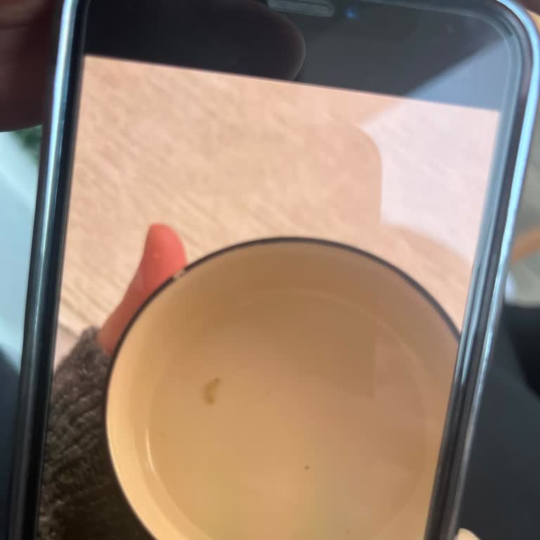 Aldığım Fıstıktan Kurt Çıktı İade Talebim Reddedildi