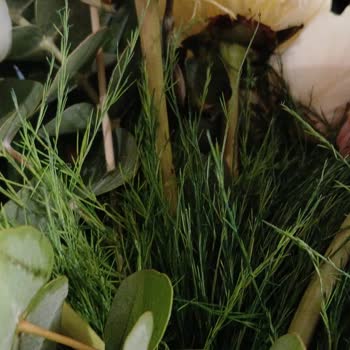 Siparişimde Gelen Çiçekler Solmuş Ve Küflüydü Değişim De Çözüm Olmadı