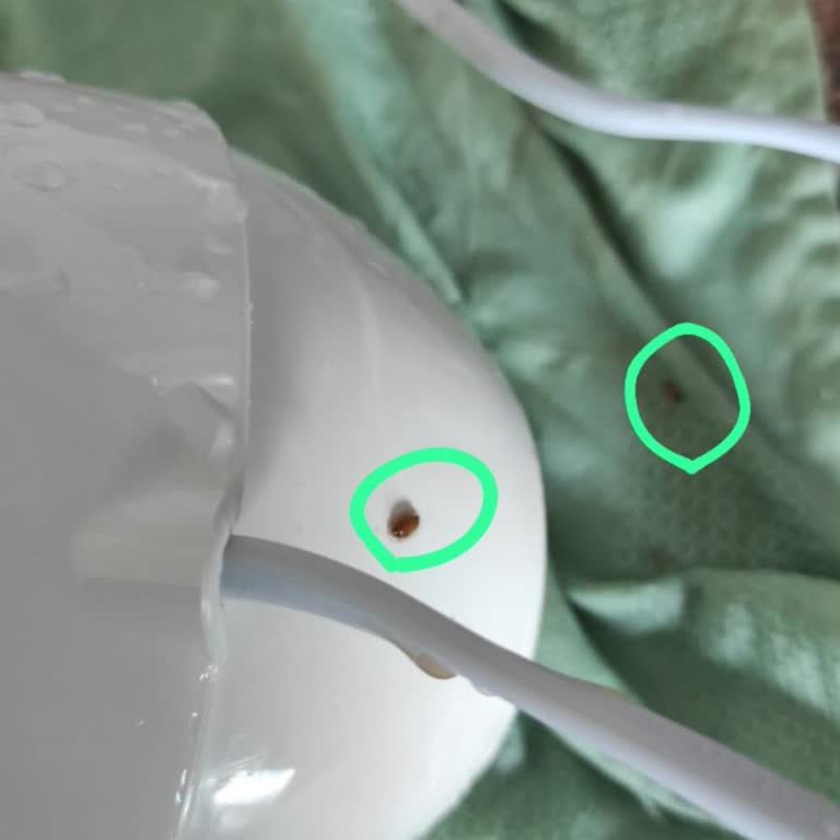 Tefal Rondo Ürününde Hijyen Sorunu Ve Yetersiz Müşteri Hizmeti