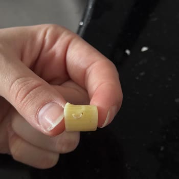 Son Kullanma Tarihi Geçmemiş Makarnadan Kurt Çıkması