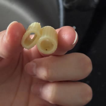 Son Kullanma Tarihi Geçmemiş Makarnadan Kurt Çıkması