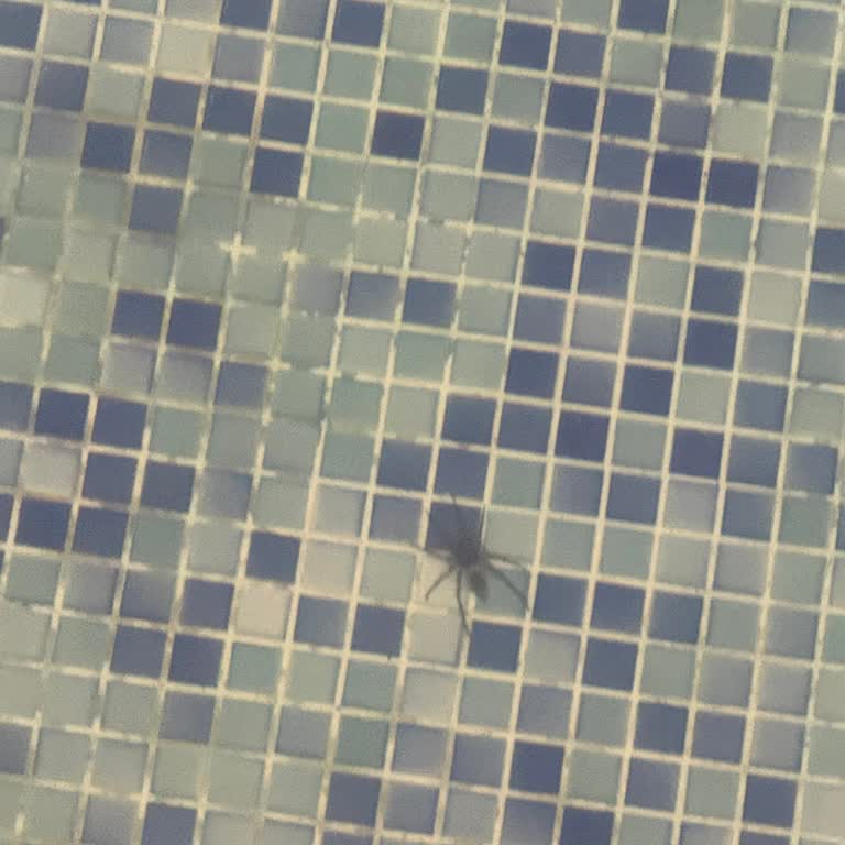 Yanıltıcı Bilgi Ve Hijyen Sorunları Nedeniyle Havuzlu Tesiste Hayal Kırıklığı