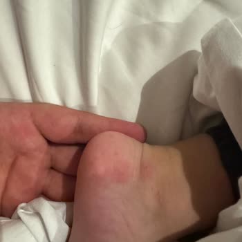 Sinek Sorunu, Yetersiz Temizlik Ve İlgisiz Yönetim Tatilimizi Mahvetti