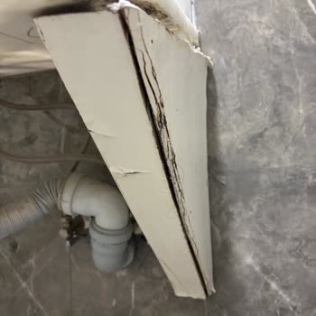 White Monarch Hotel, problemas de higiene y reembolso en Agoda