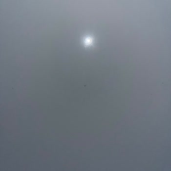 Garanti Süresi Devam Eden Buzdolabında Küflenme Ve Servis Mağduriyeti