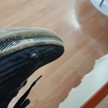 Kısa Sürede Yırtılan Ayakkabı İçin Garanti Mağduriyeti