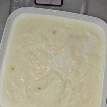 Birşah Aldığım Yoğurt Küflü Çıktı,Son Kullanma Tarihi Geçmemişti