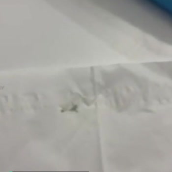 Maylo Naylon Puf Peçete Arasında Sinek Ölüsü